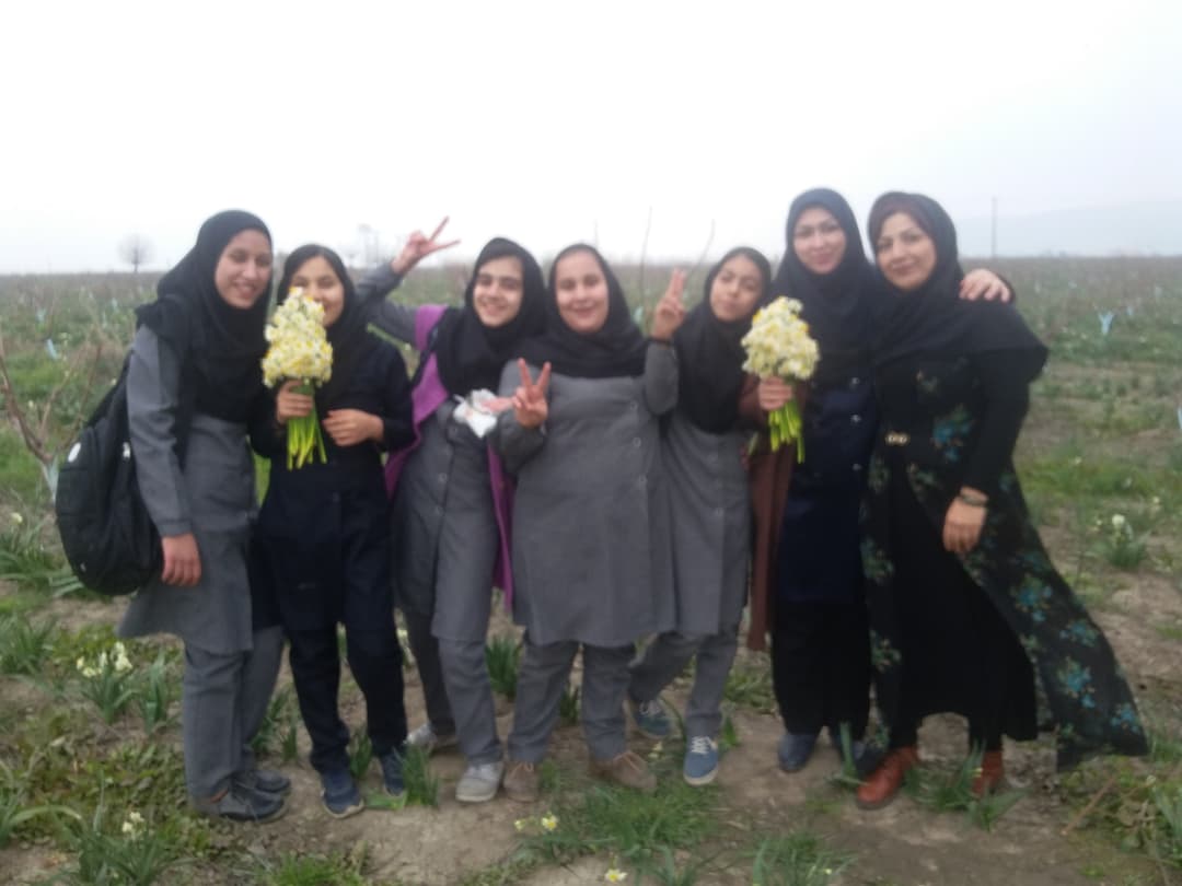 تصویر مقاله